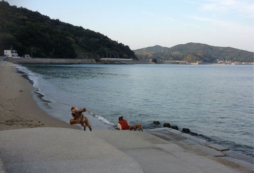 海が好き!