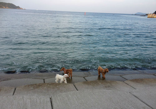 海が好き!