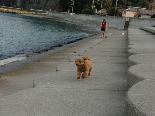海が好き!