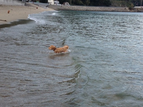 海でびゅー♪