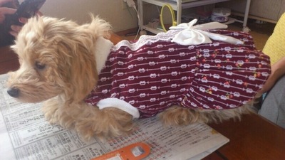 メイちゃんに決まった～♪