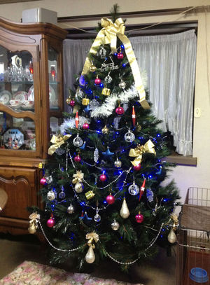 あと少しでクリスマス~♪