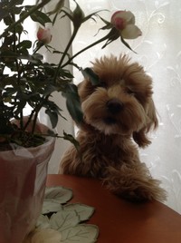 誕生日～♪