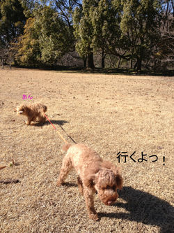 高尾山^^