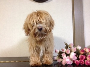５匹洗ったぞ～＾＾