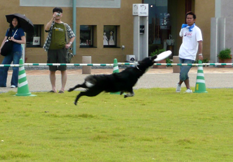 ☆かんたん大サーカス②