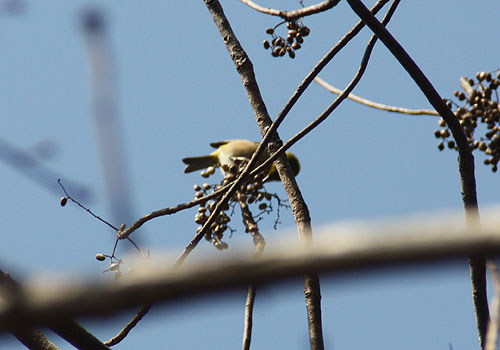 野鳥園~♪