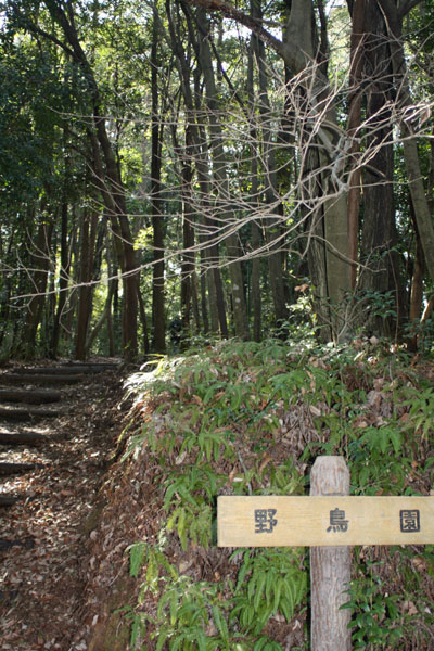 野鳥園~♪