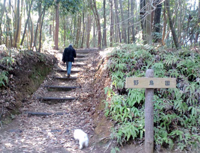 野鳥園~♪