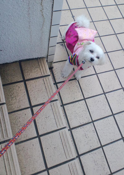 ささやかな抵抗~