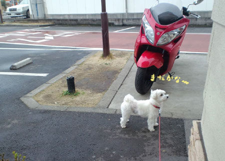 今日のお昼は・・・