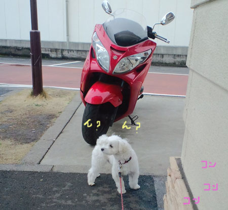 今日のお昼は・・・