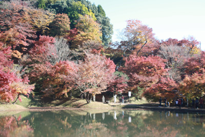 用作公園~♪