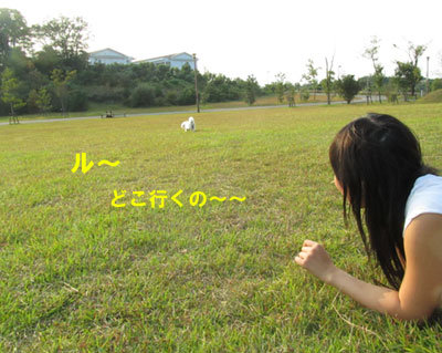 散歩~♪