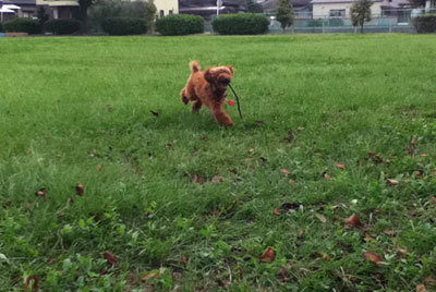 散歩~♪