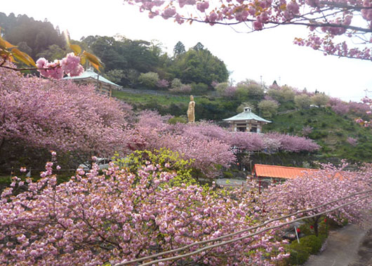 一心寺③