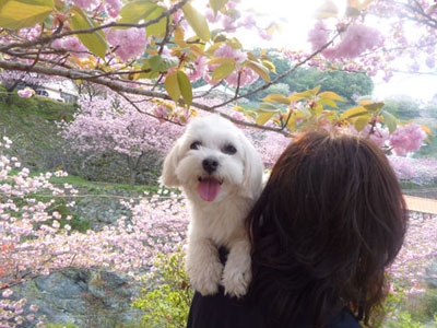 ルーニャン~♪