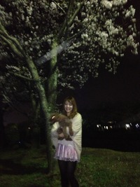 夜桜～♪(追記）