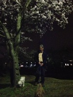 夜桜～♪(追記）