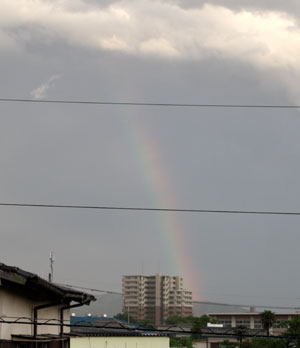 虹!!