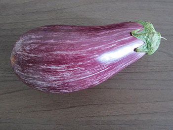 フランスの茄子