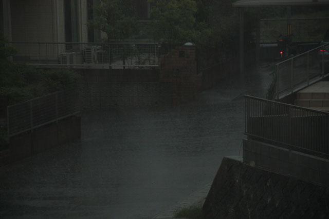 青空が恋しくて・・