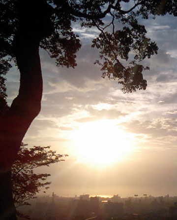 ☆夕日
