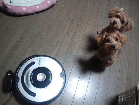 お掃除ロボット~♪