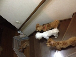 また帰ってきてね～♪