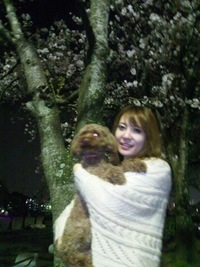 夜桜～♪(追記）