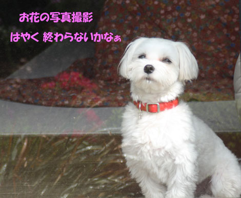 ☆待っててね♪