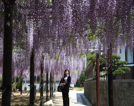 ☆西寒田神社(藤)