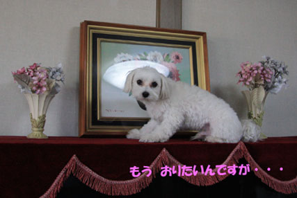 ☆置物