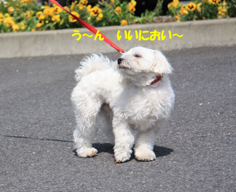 ☆道の駅　かまえ