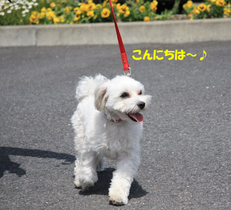 ☆道の駅　かまえ