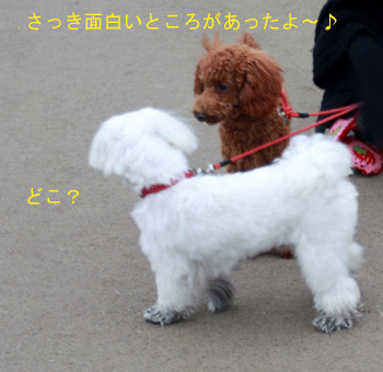 脱走失敗！！
