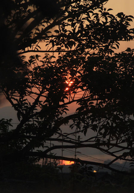 ☆夕日♪