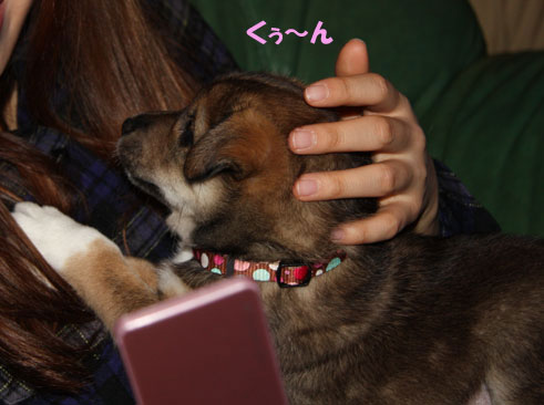 mizutama　ちゃんは・・・