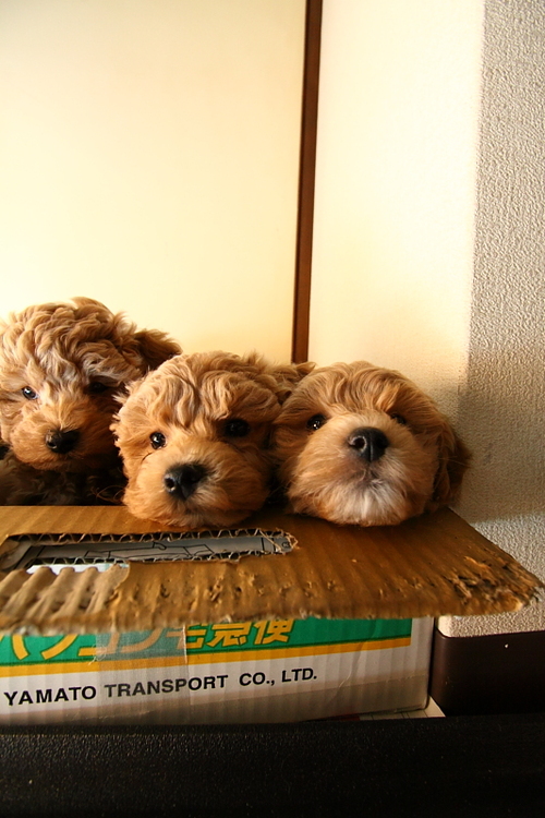 運もついてきた〜☆