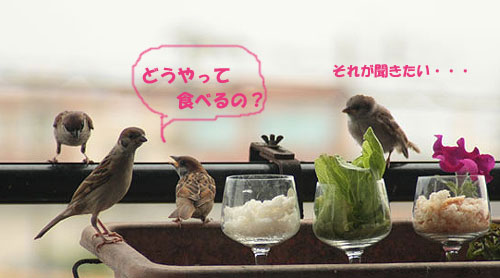 すず太郎~♪