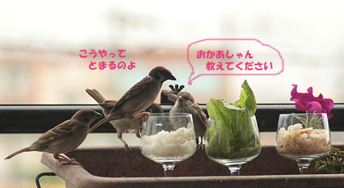 すず太郎~♪
