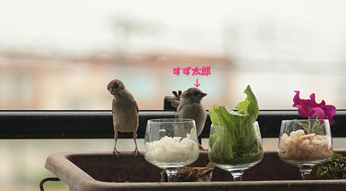 すず太郎~♪