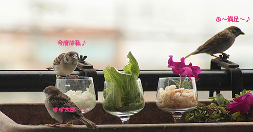 すず太郎~♪2