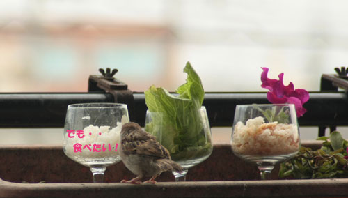 すず太郎~♪2