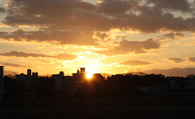 夕陽の中で