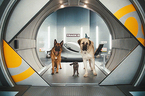『Cats&Dogs』