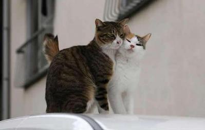 ハグ♥
