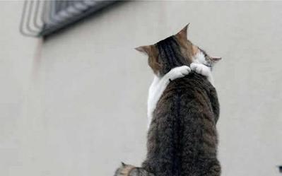 ハグ♥