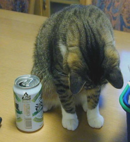 もう 飲みません・・・