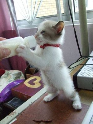 気分を変えて~♪